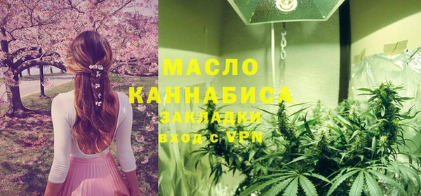 шишки Заволжск