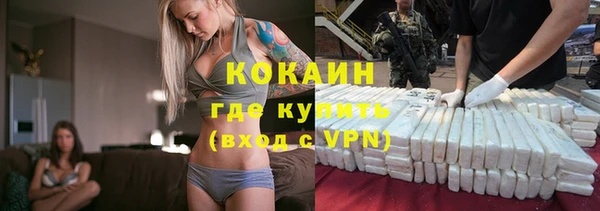 шишки Заволжск