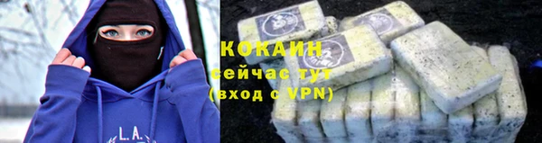шишки Заволжск