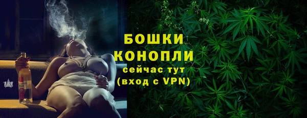 сатива Пестово