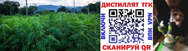 закладки Теберда Дистиллят ТГК жижа
